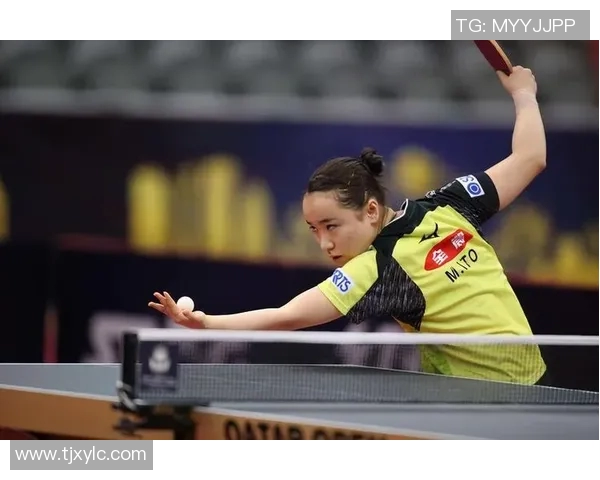 西安排球队的成长之路与总决赛背后的奋斗故事